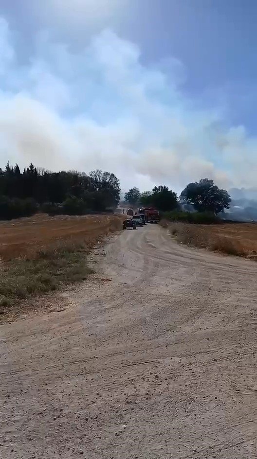 Arazide çıkan yangın, ekiplerin hızlı müdahalesiyle söndürüldü