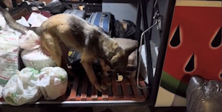 Kayseri’de yolcu otobüsü operasyonu: 3 kilo 420 gram uyuşturucuyla yakalanan 2 şüpheli tutuklandı