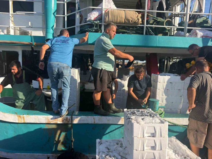 Hamsi avında kota dönemi başladı, denetimler sürüyor