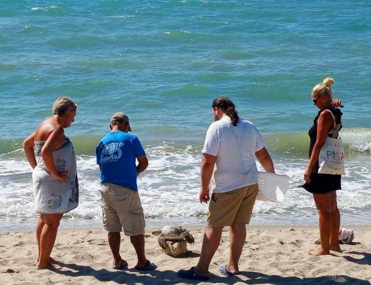 Kuşadası Körfezi’nde 4 deniz kaplumbağası ölü bulundu
