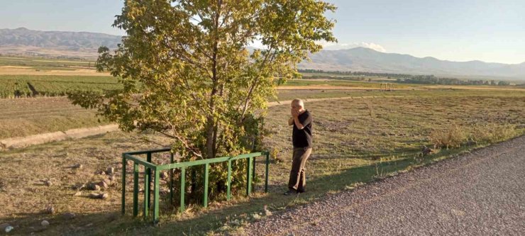Çanakkale ruhu Erzurum yolunda