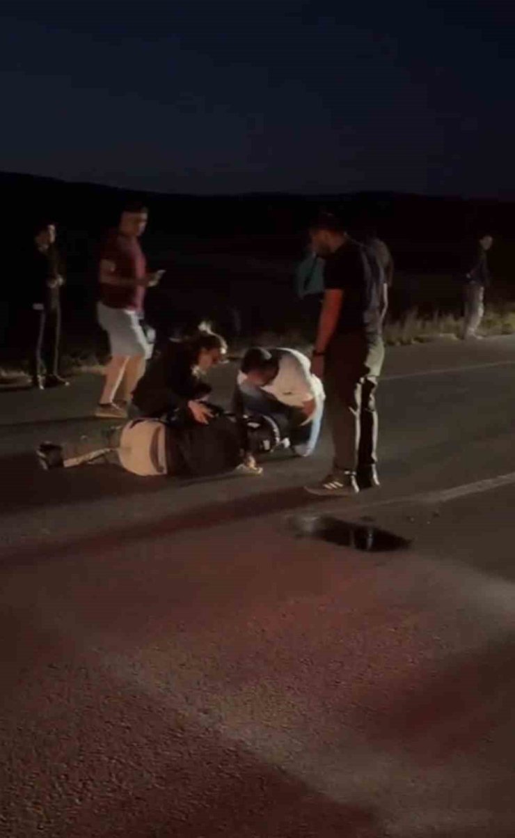 Avrupa turuna çıkan Fransız turist, koyunlara çarptı: 3 koyun telef oldu