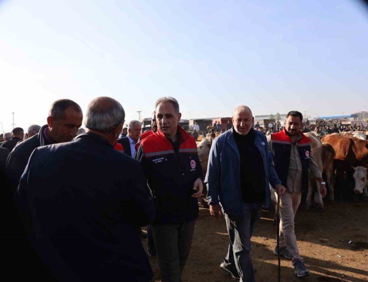 Kars Hayvan Pazarı’nda sıkı denetim: Hayvan hareketliliğine sağlık ve güvenlik filtresi
