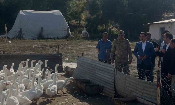Akyaka’da kaz yetiştiriciliğine yakın takip