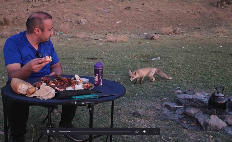 Bitlis’te piknik sofrasına davetsiz misafir