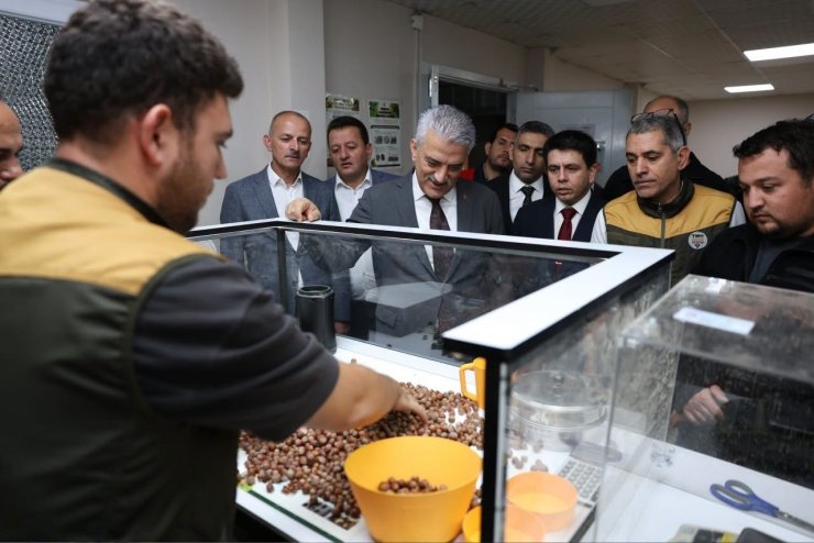 Vali Makas Çilimli’de TMO fındık alım merkezini inceledi