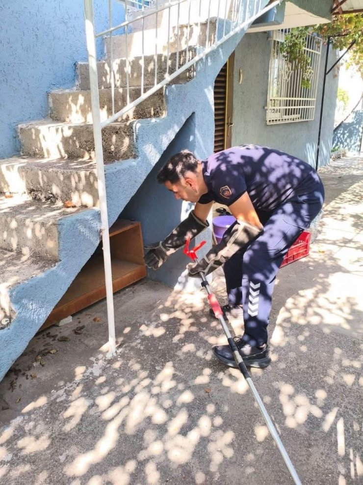 İskenderun’da evin içerisinde görülen yılan yakalandı