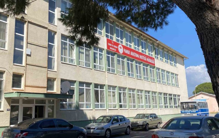 Pamuk Araştırma Enstitüsü’ndeki rüşvet iddiasına operasyon