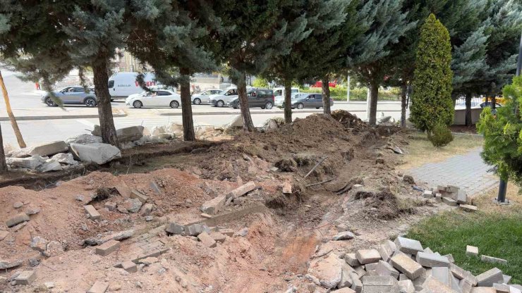 Ankara’da yol genişletme çalışmalarında 40 ağacın kesilmesi kararına tepki