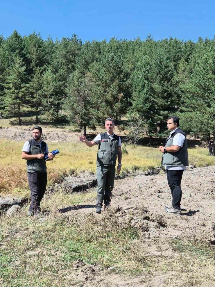 Sarıkamış Şehitleri Orman Parkı’nda yeni dönem: Doğayla iç içe yeşil alan etkinlik alanı için çalışmalar değerlendirildi
