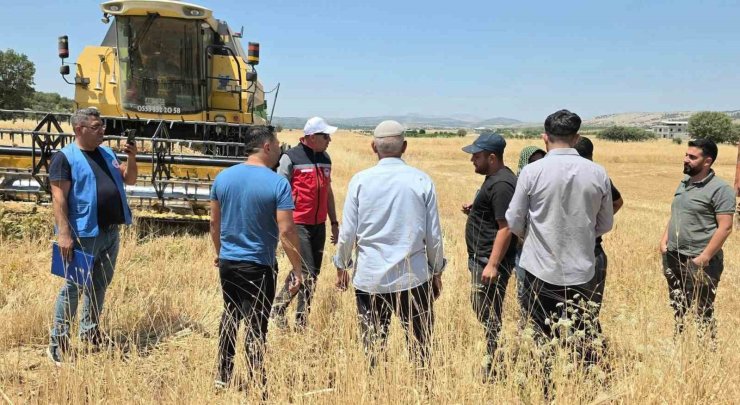 TAKEP kapsamında yüzde 75 hibe ile mercimek tohumuna müracaatlar başladı