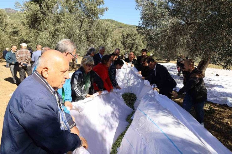 Edremit Körfezi’nin Altın Mirası İçin "3. Edremit Festolıve" başlıyor