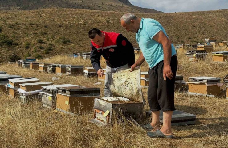 Aydıntepe’de 2026 yılı arılı kovan tespitleri başladı
