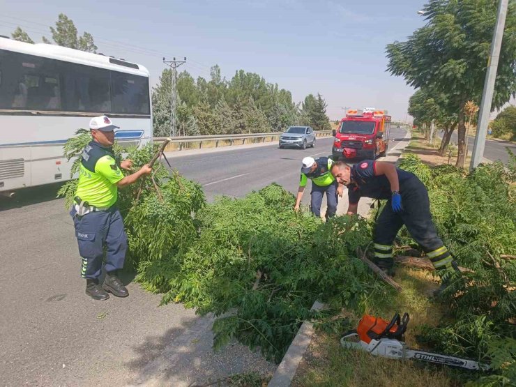 Kuvvetli rüzgar ağacı devirdi