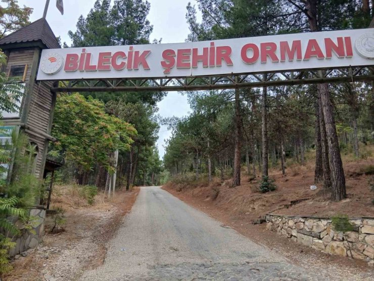 Bilecik Şehir Ormanı’nın yolları köstebek yuvasına döndü