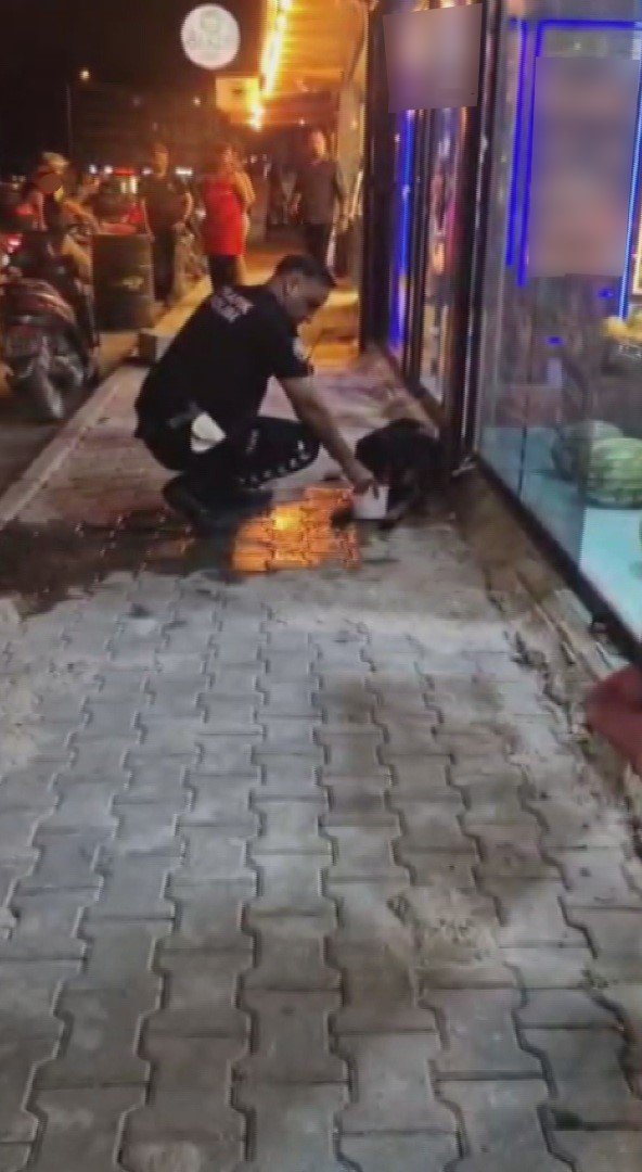 Silahla vurulan sokak köpeğine polis ekipleri sahip çıktı