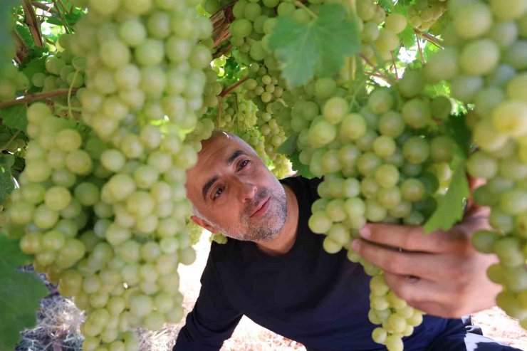Elazığ’ın tescilli lezzeti Türkiye yolculuğuna hazırlanıyor