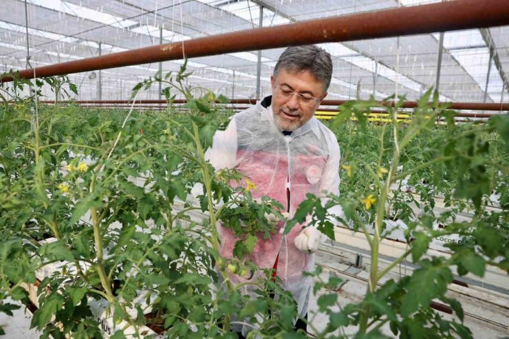 Bakan Yumaklı’dan Erzincan’da jeotermal sera mesajı
