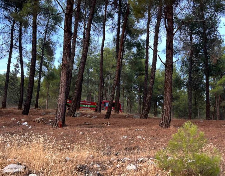 Kahramanmaraş’ta orman yangını