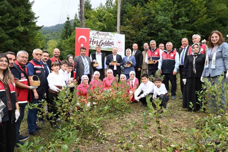 Kastamonu’da aronya hasadı başladı