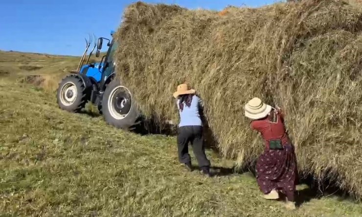 Ardahan’da kışlık yem telaşı: Çiftçiler zorlu şartlara rağmen hasada devam ediyor