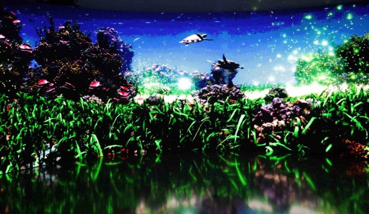 Akdeniz’in iklim geleceği Muğla’da konuşulacak