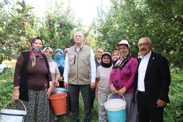 Şemsi Bayraktar’dan Çivril’de elma hasadı yaptı
