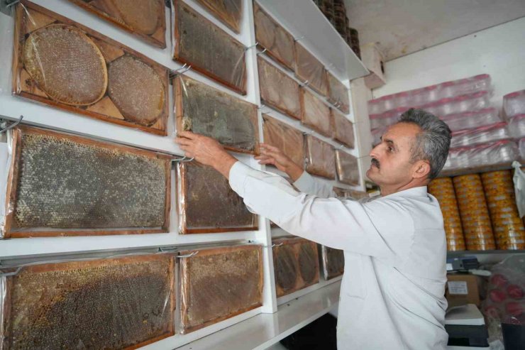 Muş’ta bal hasadı tamamlandı: 700 ton bal elde edildi