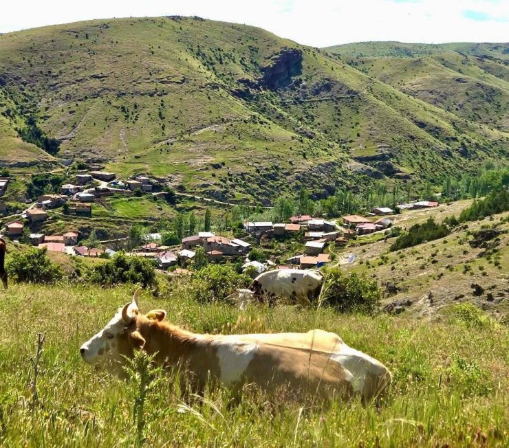 Kırsal dezavantajlı alanlara yönelik çalışmalar sürüyor