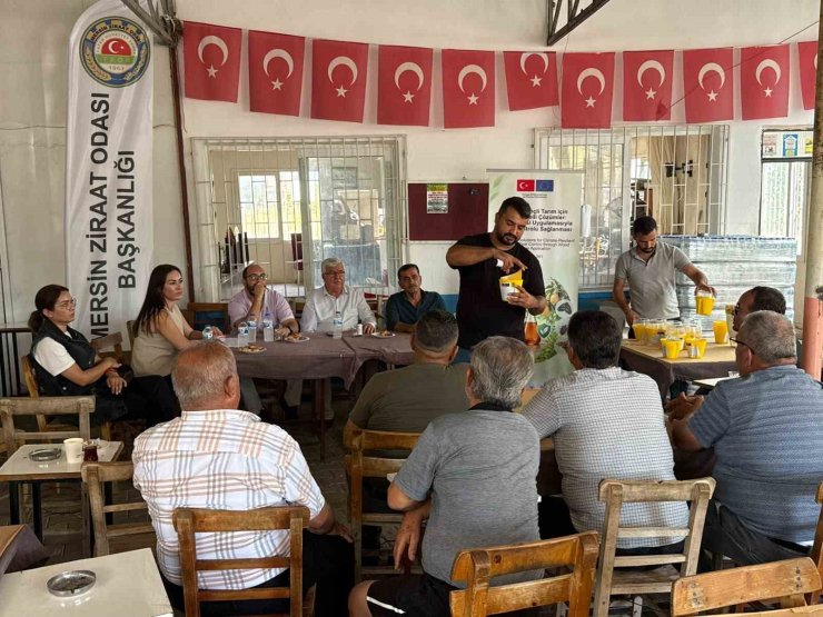 Mersin’de çiftçilere Akdeniz meyve sineğiyle mücadele eğitimi