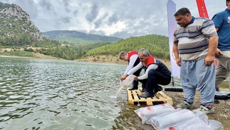 Mersin’de 17 göl ve gölete 347 bin yavru sazan bırakıldı