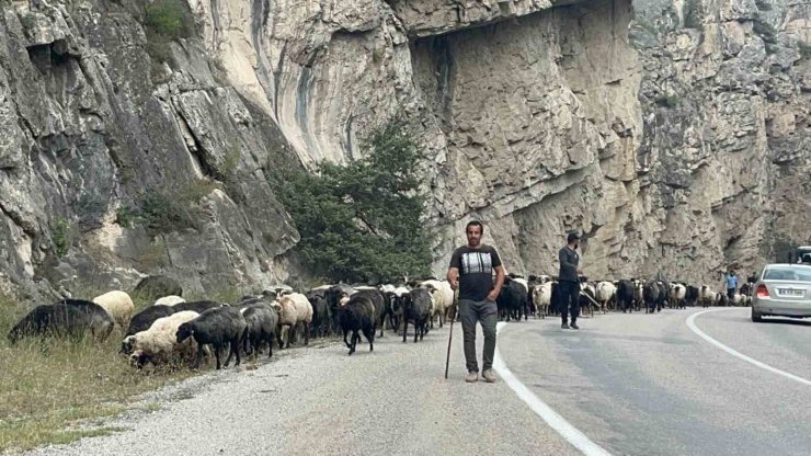 Artvin’de yaylalardan dönüş başladı