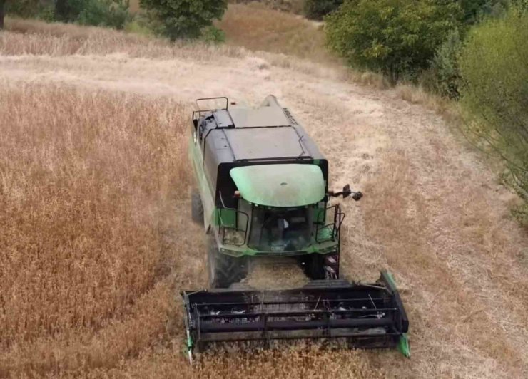 Tavşanlı’da aspir hasadı devam ediyor