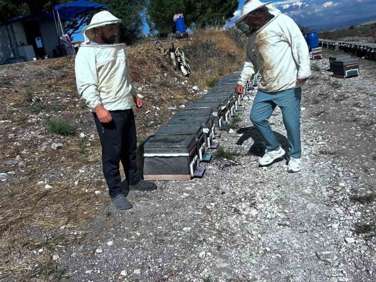 Arıcılığın geliştirilmesi için saha çalışmaları sürüyor