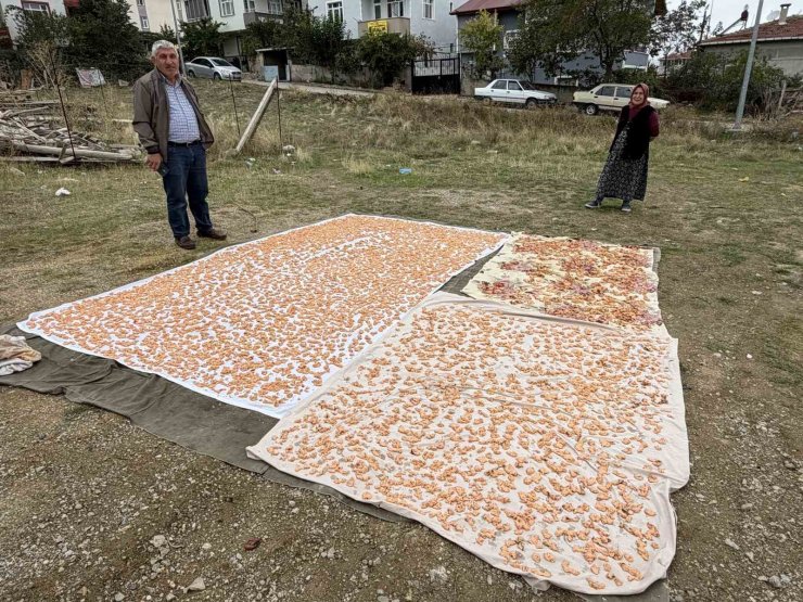 Boyabat’ta kış hazırlıkları başladı: Tarhana mesaisi