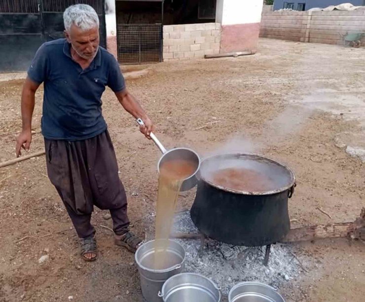 Araban’da gün pekmezi yapımına başlandı