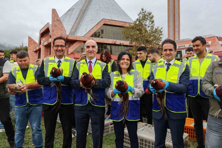 Kampüste 200 sülün doğayla buluştu