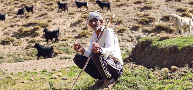 Bursa’dan köyüne döndü, hayvancılıkla geçimini sağlıyor