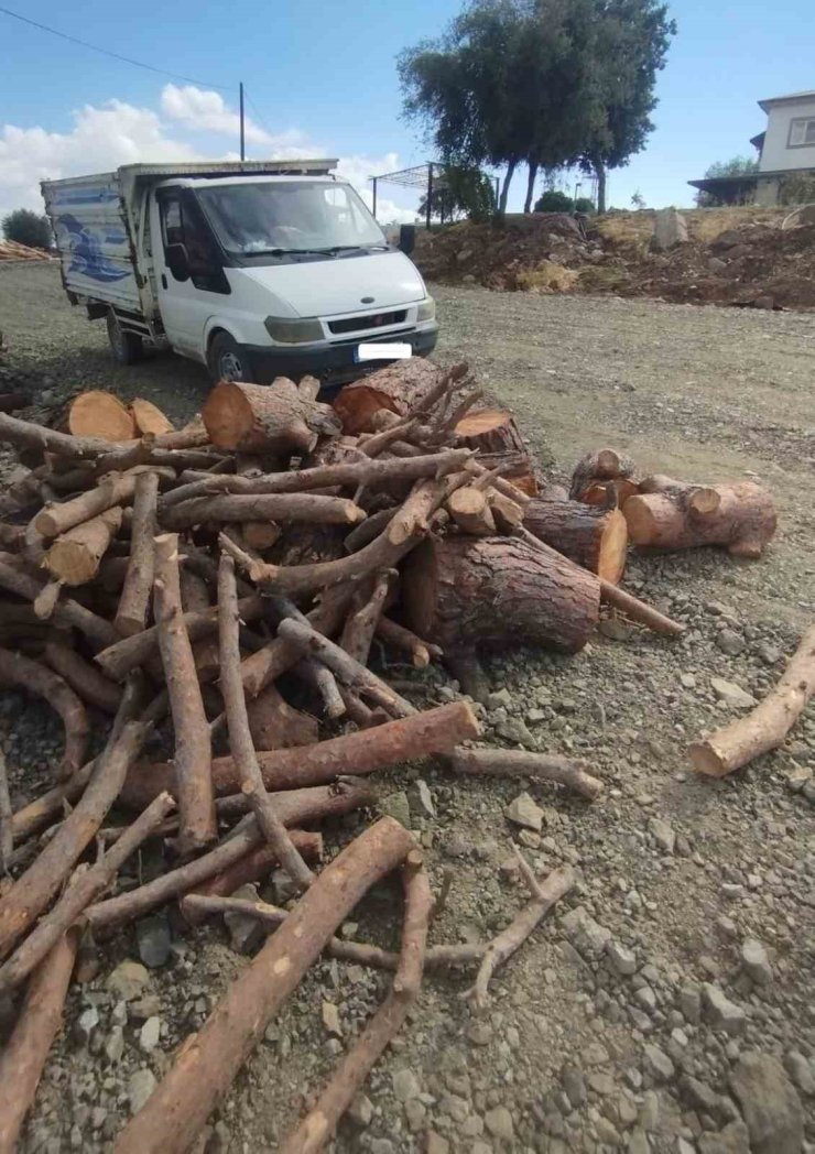 Kahramanmaraş’ta kaçak orman emvali