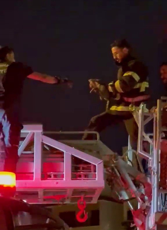 Mahsur kalan kediyi itfaiye ekipleri kurtardı