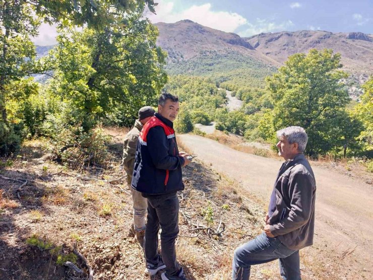 Kaybolan 9 büyükbaş hayvan dron ile bulundu