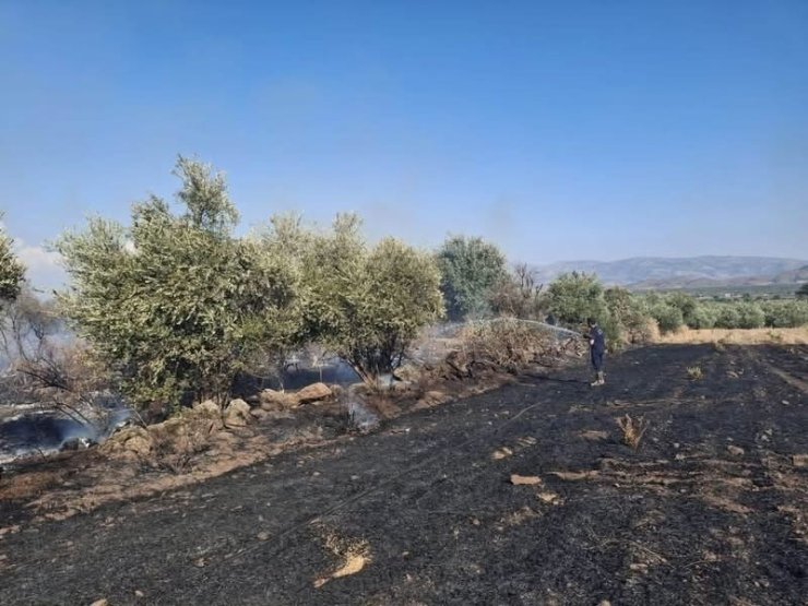 Hassa’da zeytinlik alan ve anız yangını geniş alana yayılmadan söndürüldü