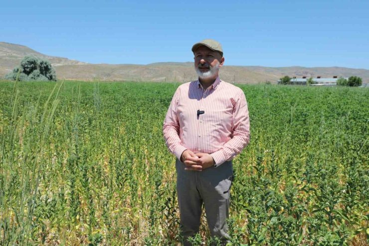 Başkan Çolakbayrakdar: "Ekiyoruz, üretiyoruz, hasat ediyoruz ve ailelerimizle paylaşıyoruz"