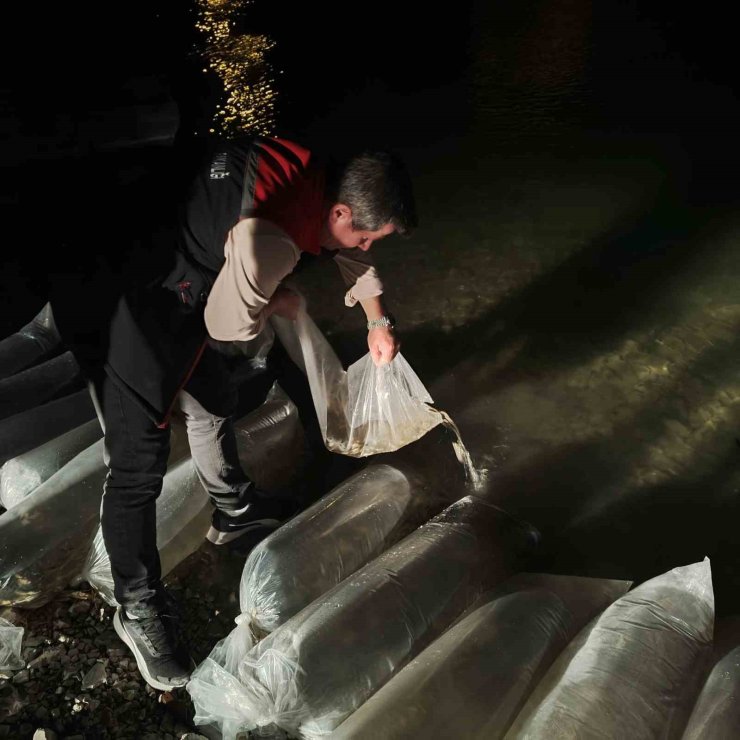 Erzurum’da iç sulara büyük dokunuş: 340 bin yavru sazan suyla buluştu