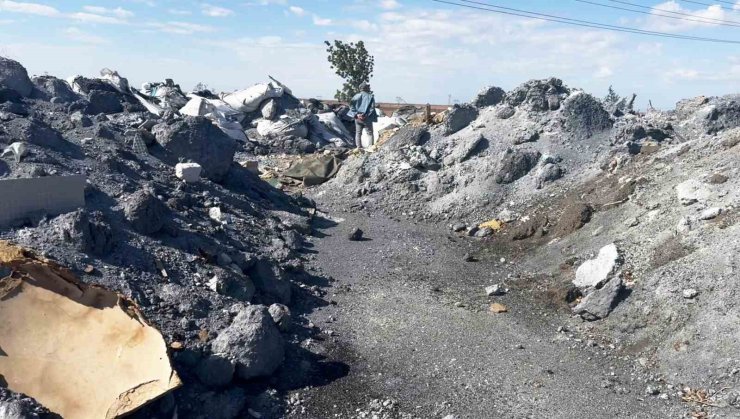 Tekirdağ’da çevre katliamı büyüyor