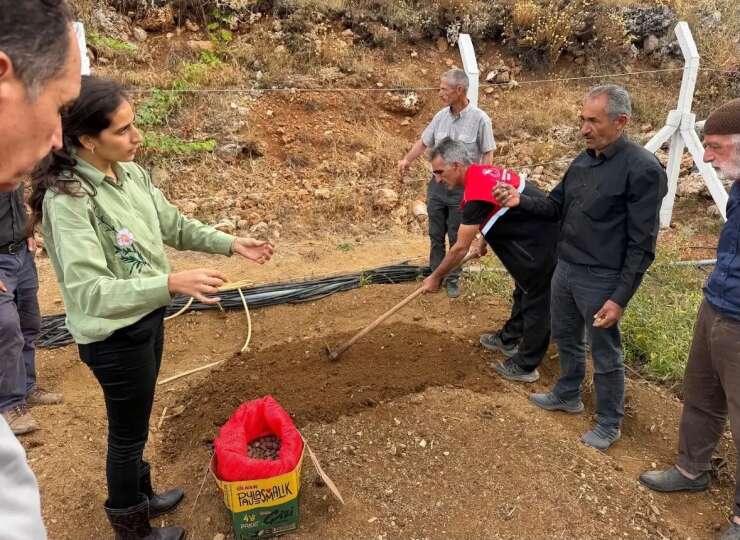 Çelikhan’da 10 üreticiye 90 kilogram salep yumrusu dağıtıldı