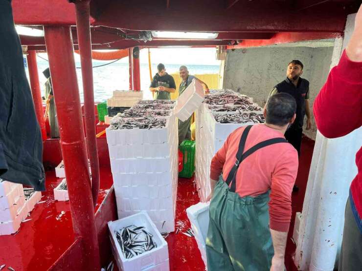 Didim’de ‘Hamsi Kotası’ denetimi yapıldı