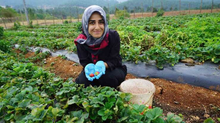 Kadınların emeği Kahraman Kadın Platformu’yla geniş kitlelere ulaşıyor