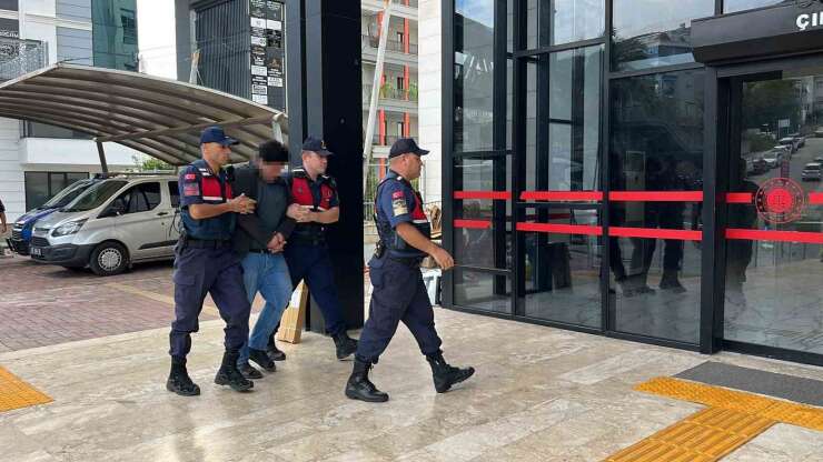 Alanya’da kuşlara vahşet uygulayan şüpheli tutuklandı
