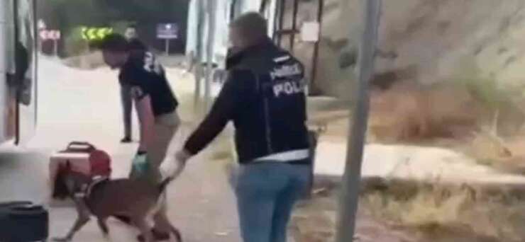 Sinop uyuşturucu operasyonu: 3 tutuklama